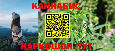 индика Ирбит