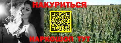 индика Ирбит