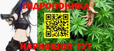 ГАЛЛЮЦИНОГЕННЫЕ ГРИБЫ Гатчина