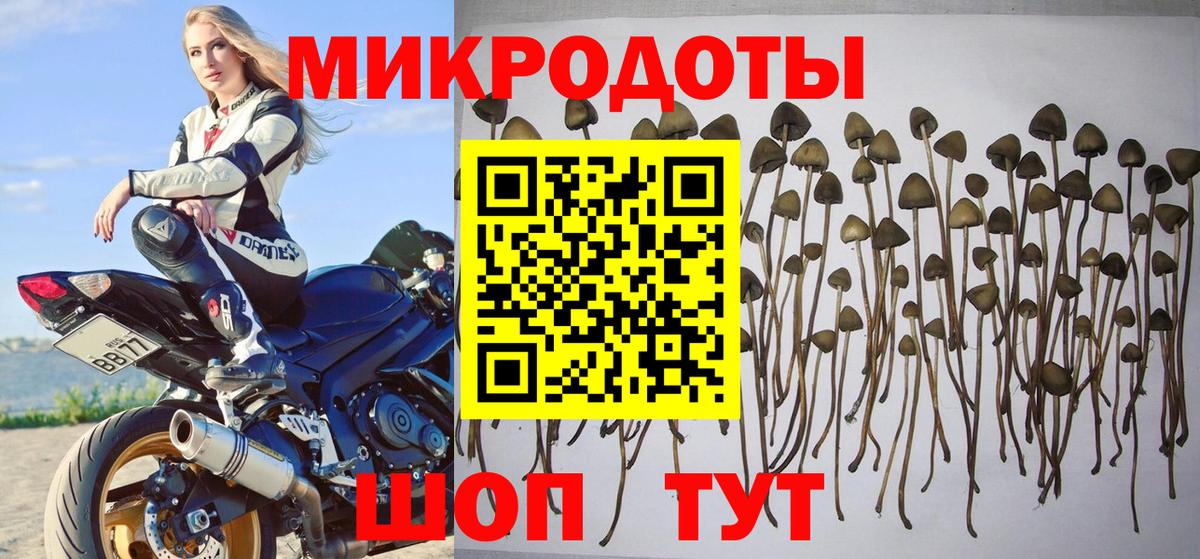 ГАШ  COCAIN  НБОМе  Alpha PVP СОЛЬ кристаллы  Меф   Каннабис  Меф МЯУ МЯУ кристаллы  Шахты  Купить наркотики цена 