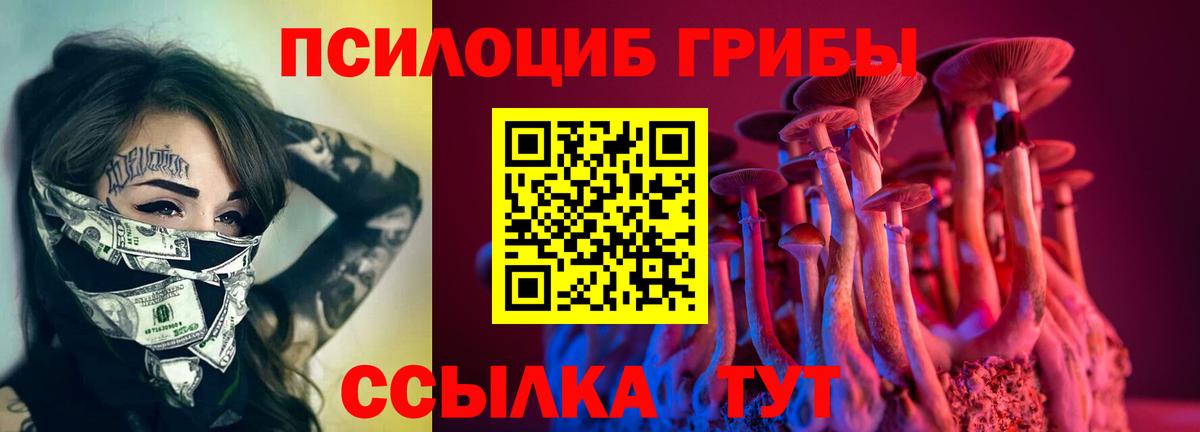 Шахты  Галлюциногенные грибы Cubensis  Вход с VPN 