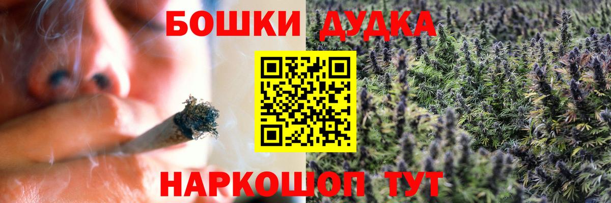 Канабис сатива Шахты